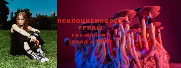 соль курить ск Богданович