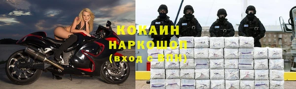 тгк Богородск